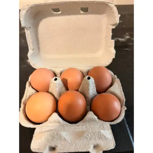 Oeufs frais